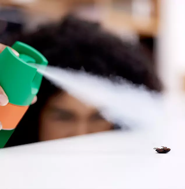 Why Duluth, GA Homeowners Choose Duluth Quality Pest Control for Roach Pest Control?