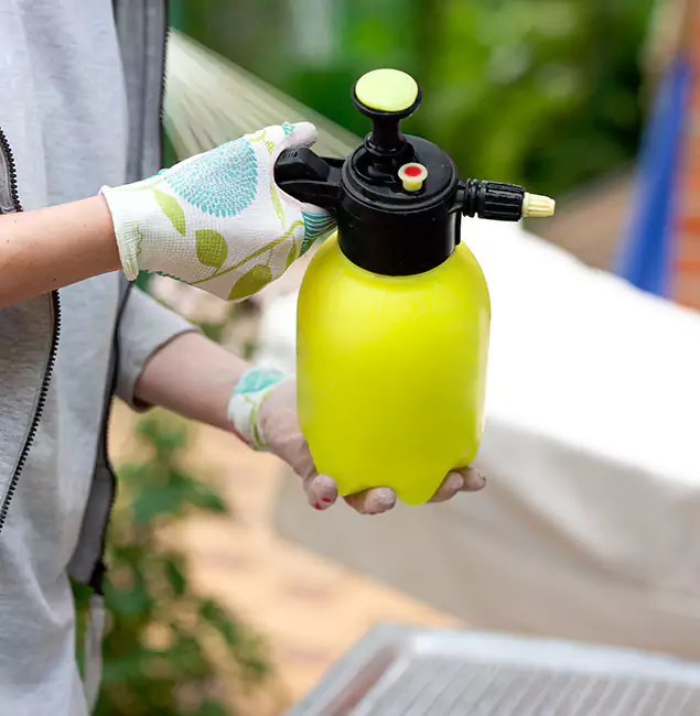 Why Choose Us: Duluth Quality Pest Control Termite Spraying Experts in Duluth, GA?