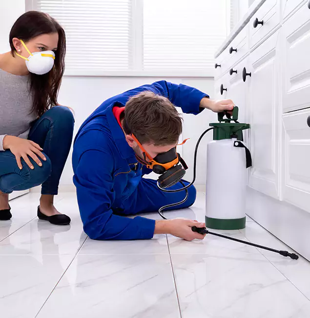 Why Choose Wood Termite Treatment by Duluth Quality Pest Control in Duluth, GA?