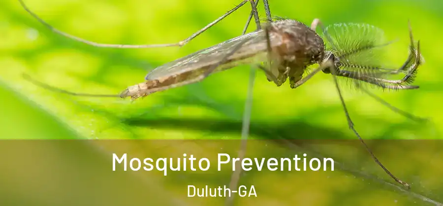  Mosquito Prevention Duluth-GA