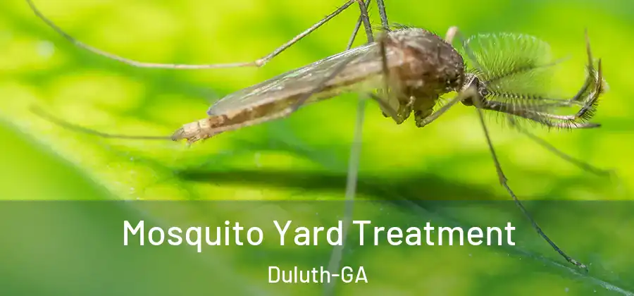 Mosquito Yard Treatment Duluth-GA