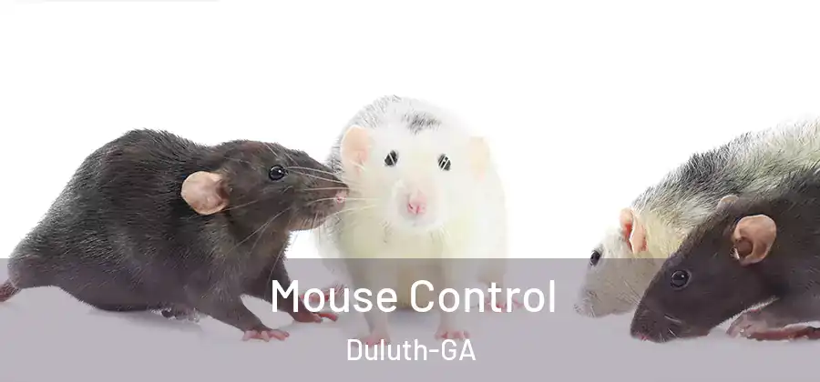  Mouse Control Duluth-GA