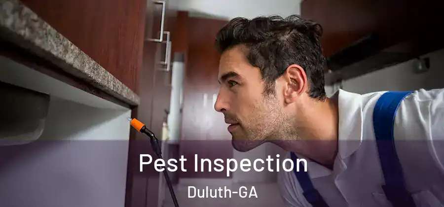  Pest Inspection Duluth-GA