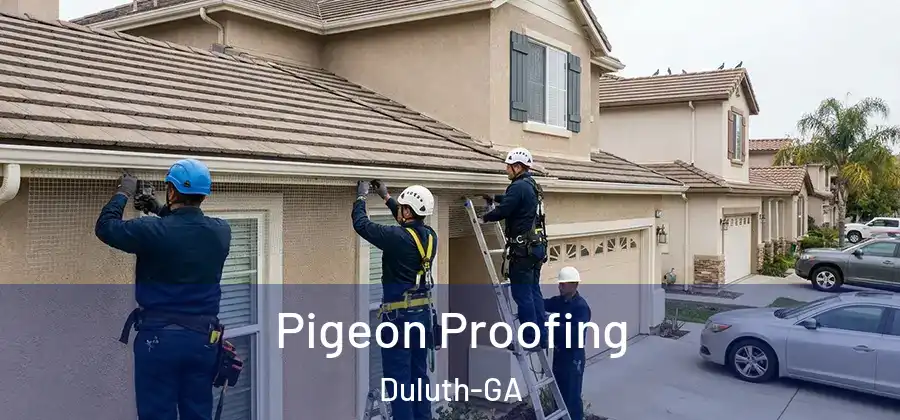  Pigeon Proofing Duluth-GA