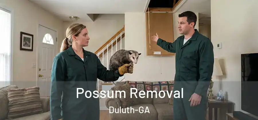  Possum Removal Duluth-GA