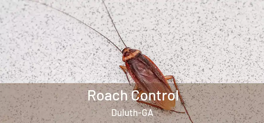  Roach Control Duluth-GA
