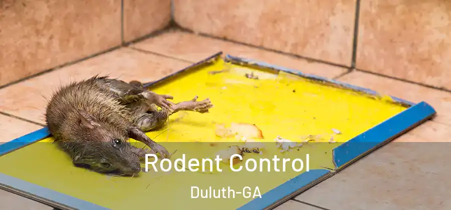  Rodent Control Duluth-GA