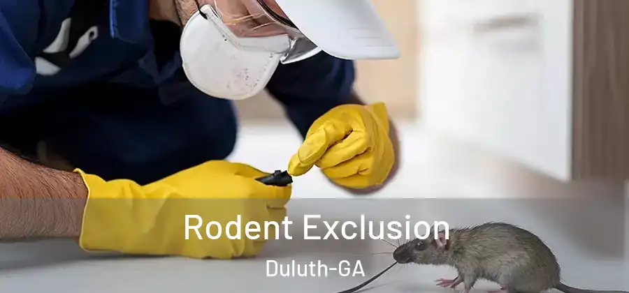Rodent Exclusion Duluth-GA