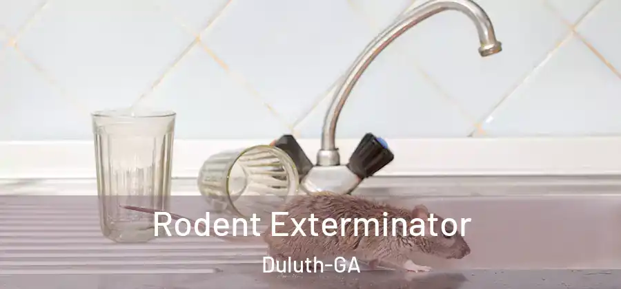  Rodent Exterminator Duluth-GA