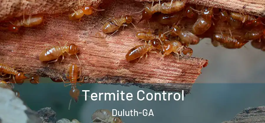  Termite Control Duluth-GA