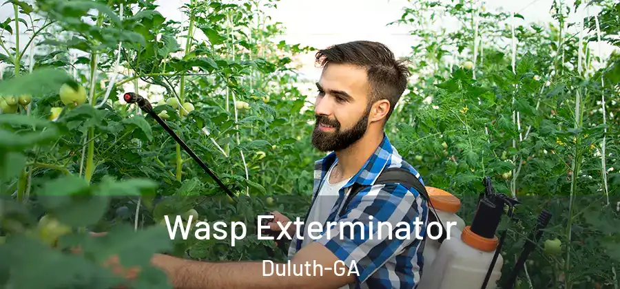  Wasp Exterminator Duluth-GA