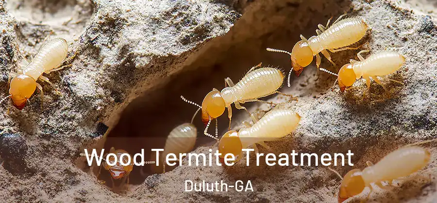  Wood Termite Treatment Duluth-GA